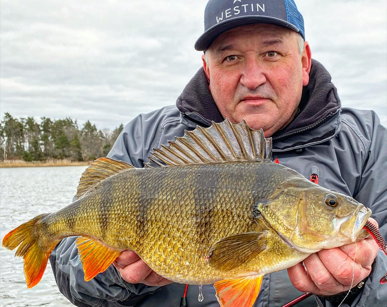 Westin W8 Finesse Spin & Blades -T 2nd